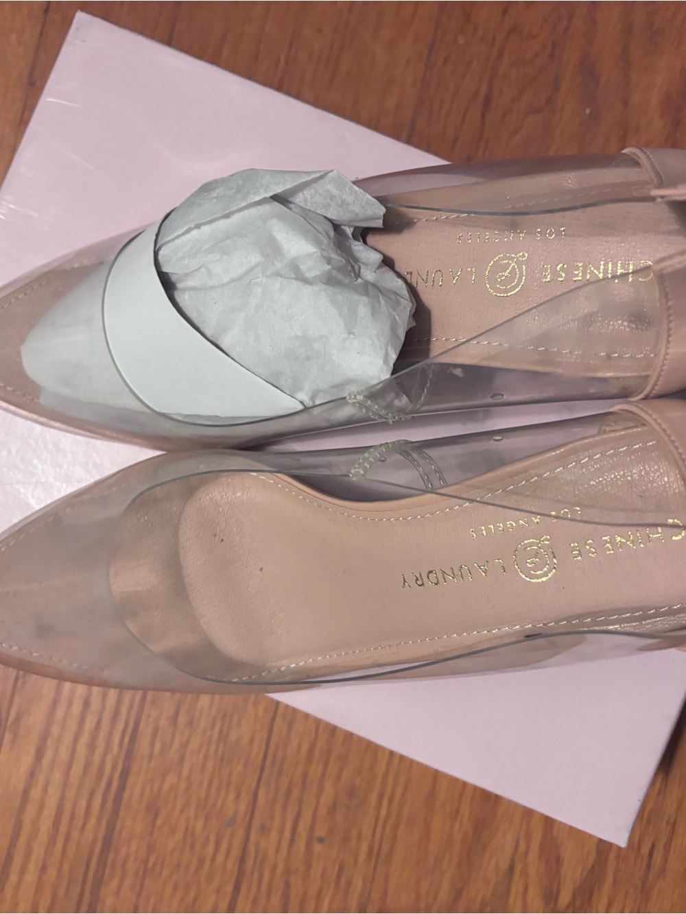 Chinese Laundry Clear Pointed Toe heels in Nude/Transparent